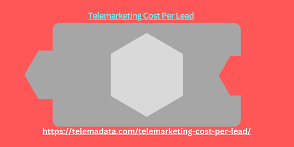 Telemarketing Cost Per Lead